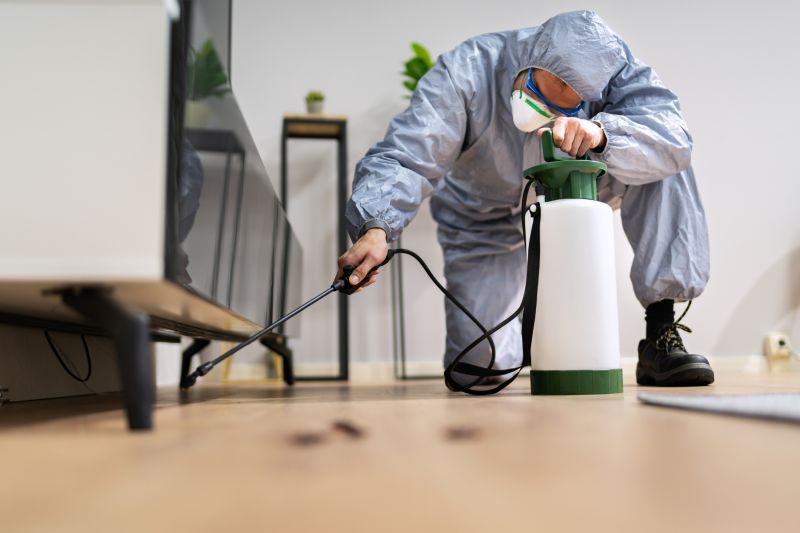 Residential Fumigation in West Palm Beach, FL
