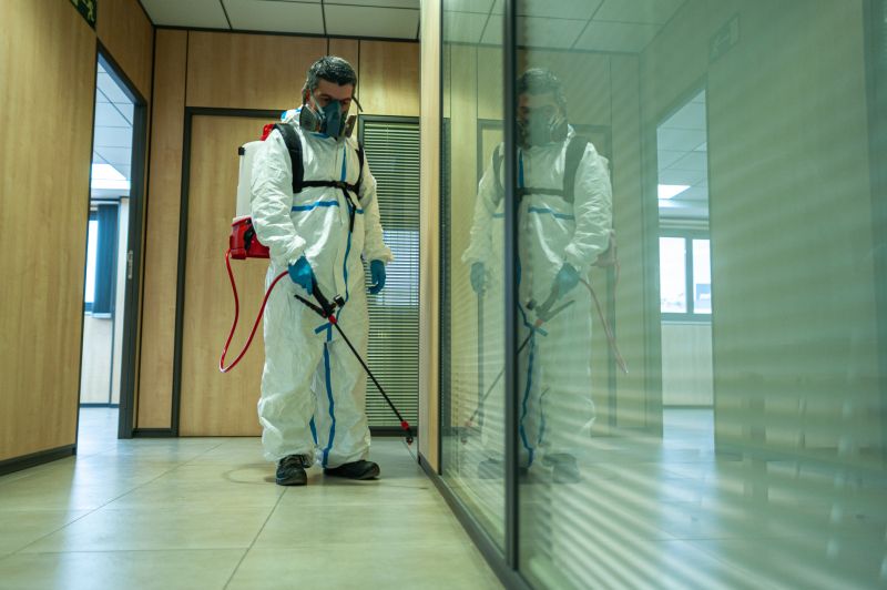 Spider Fumigation Service in Fort Collins, CO