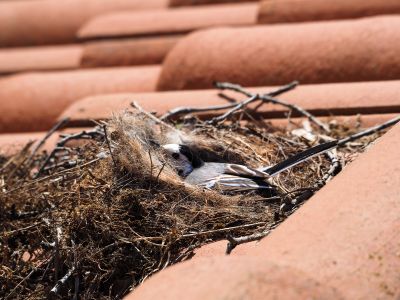 Preserve Property Value
